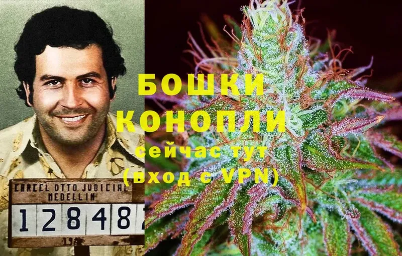 Бошки Шишки LSD WEED  закладки  MEGA вход  Видное 